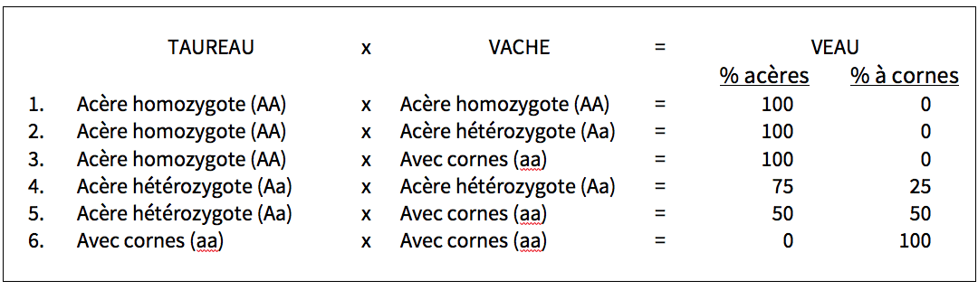 Une question qui en soulève bien d’autres …  avec ou sans cornes ?