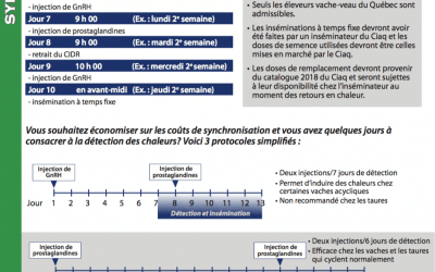 Synchronisation : des protocoles qui ont fait leurs preuves!