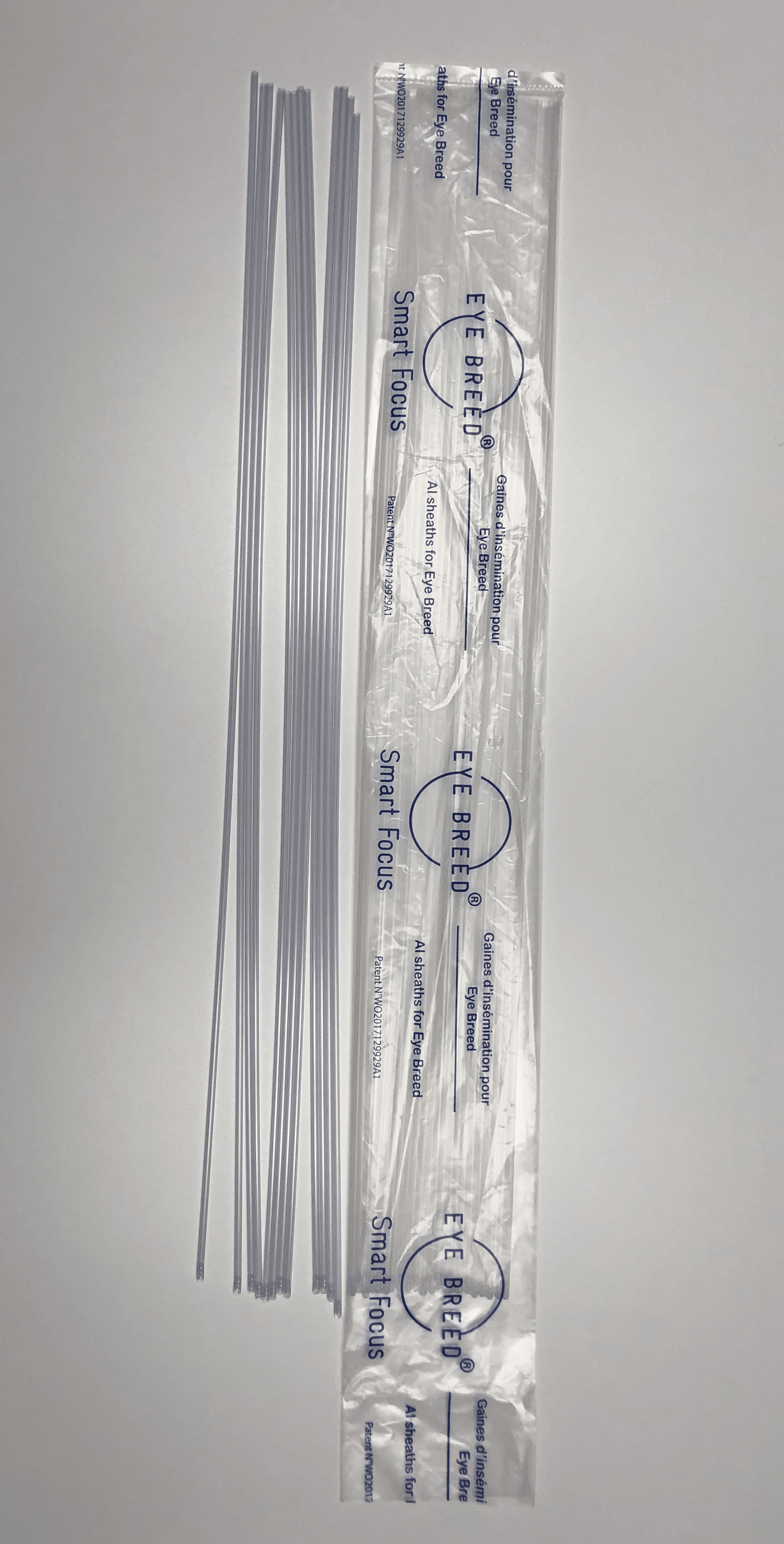 PF-CR0026 GAINES .25 (25)