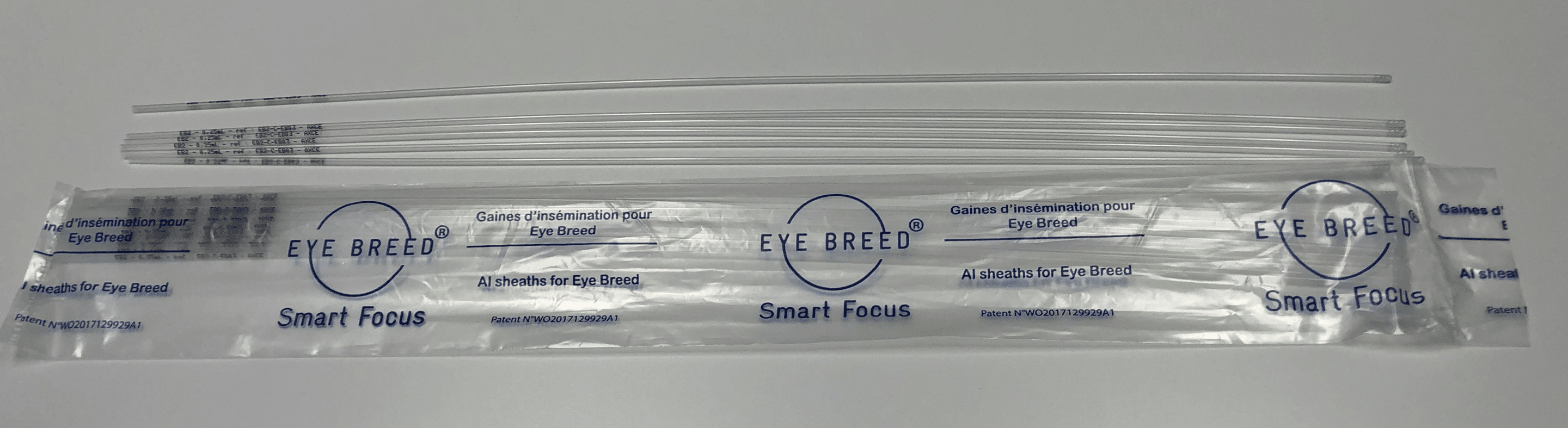 PF-CR0050 EB2 GAINES .25 (25)