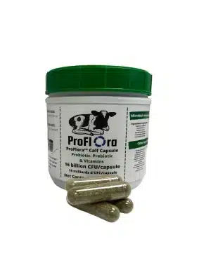 Bolus à veaux Proflora (50)